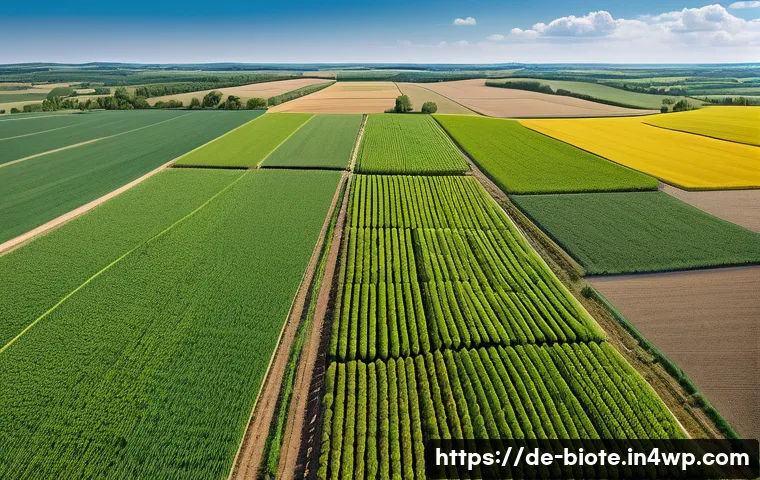 바이오 기반 소재의 생명주기 평가 - A detailed, realistic illustration of sustainable agricultural fields in Germany focused on biobased...